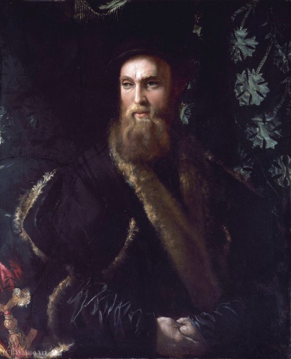 Wikioo.org - The Encyclopedia of Fine Arts - Painting, Artwork by Girolamo Da Carpi - Portrait of bindo altoviti