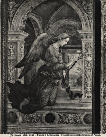 Wikioo.org – L'Enciclopedia delle Belle Arti - Pittura, Opere di Girolamo Del Pacchia - Arcangelo gabriele