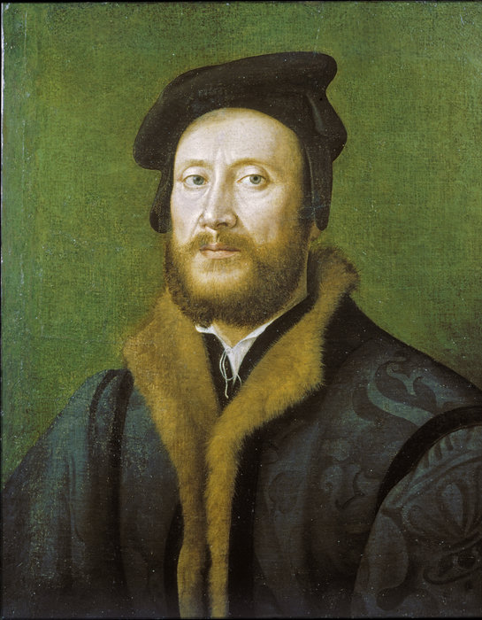 Wikioo.org - The Encyclopedia of Fine Arts - Painting, Artwork by Giuliano Bugiardini - Portrait of a Bolognese Gentleman in a Fur-lined Coat