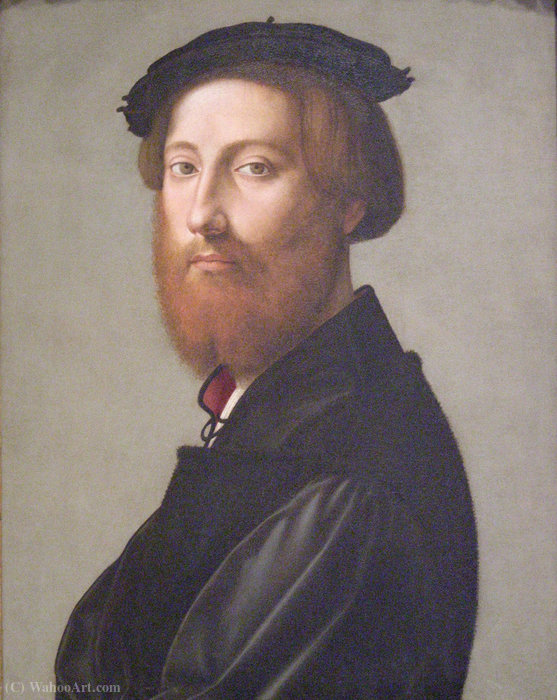 Wikioo.org - The Encyclopedia of Fine Arts - Painting, Artwork by Giuliano Bugiardini - Portrait of Leonardo de' Ginori