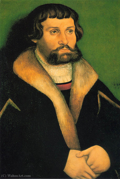 Wikioo.org – L'Enciclopedia delle Belle Arti - Pittura, Opere di Hans Cranach - Ritratto di un uomo barbuto