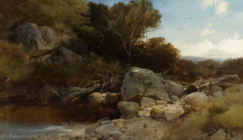 Wikioo.org - The Encyclopedia of Fine Arts - Painting, Artwork by Henry Bright - A welsh stream