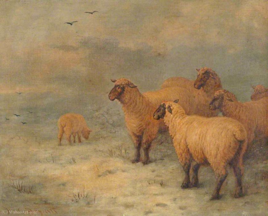 Wikioo.org - Encyklopedia Sztuk Pięknych - Malarstwo, Grafika Henry Charles Bryant - Sheep on Moorland