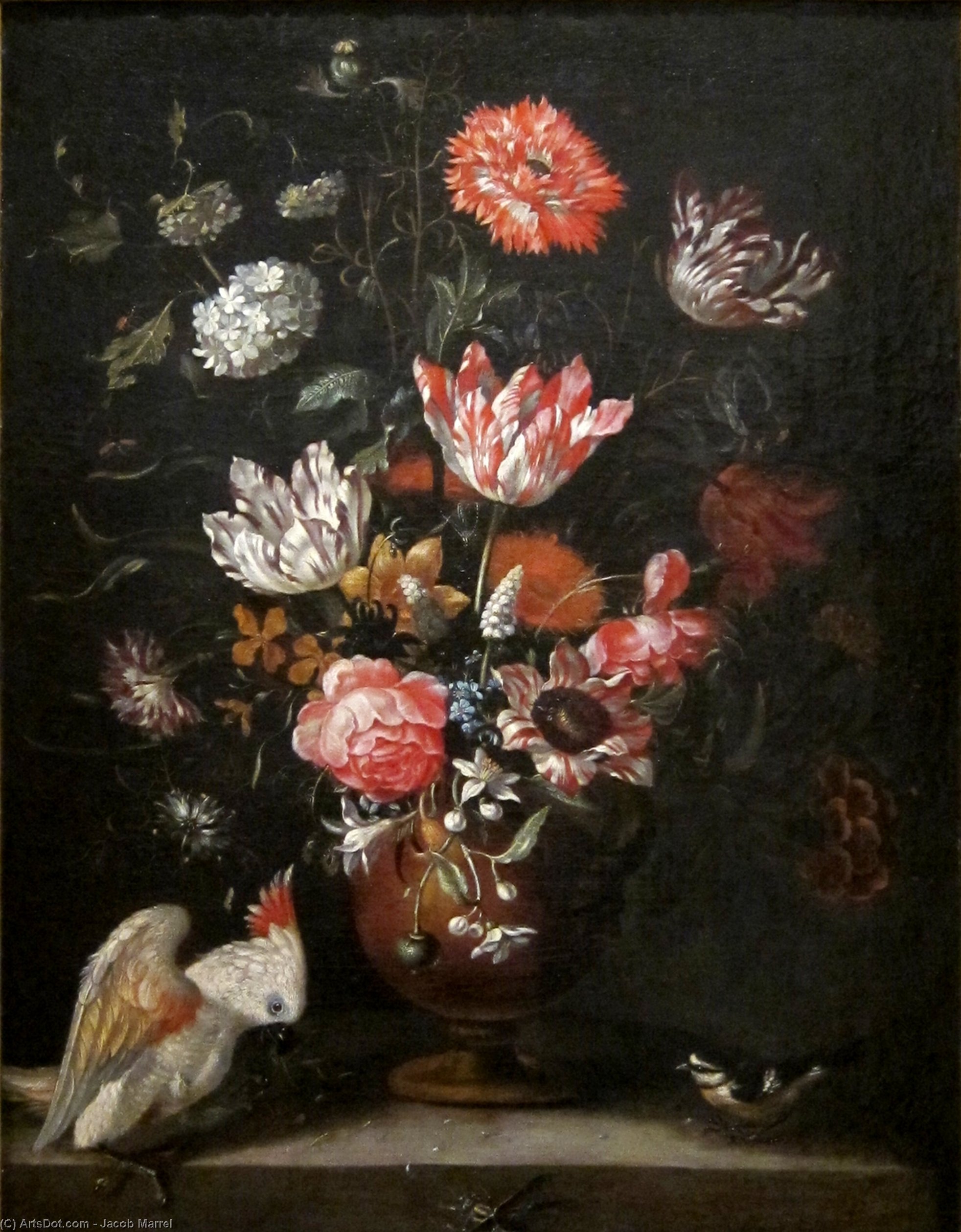 Wikioo.org - Bách khoa toàn thư về mỹ thuật - Vẽ tranh, Tác phẩm nghệ thuật Jacob Marrel - Flowers, parrot and tit