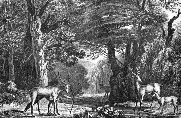 Wikioo.org - The Encyclopedia of Fine Arts - Painting, Artwork by Jacques (De Morgues) Le Moyne - Timucua hunting deer