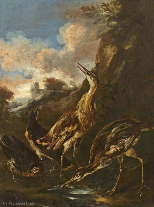 Wikioo.org - The Encyclopedia of Fine Arts - Painting, Artwork by Jan Baptist Weenix - Herons and Lapwings