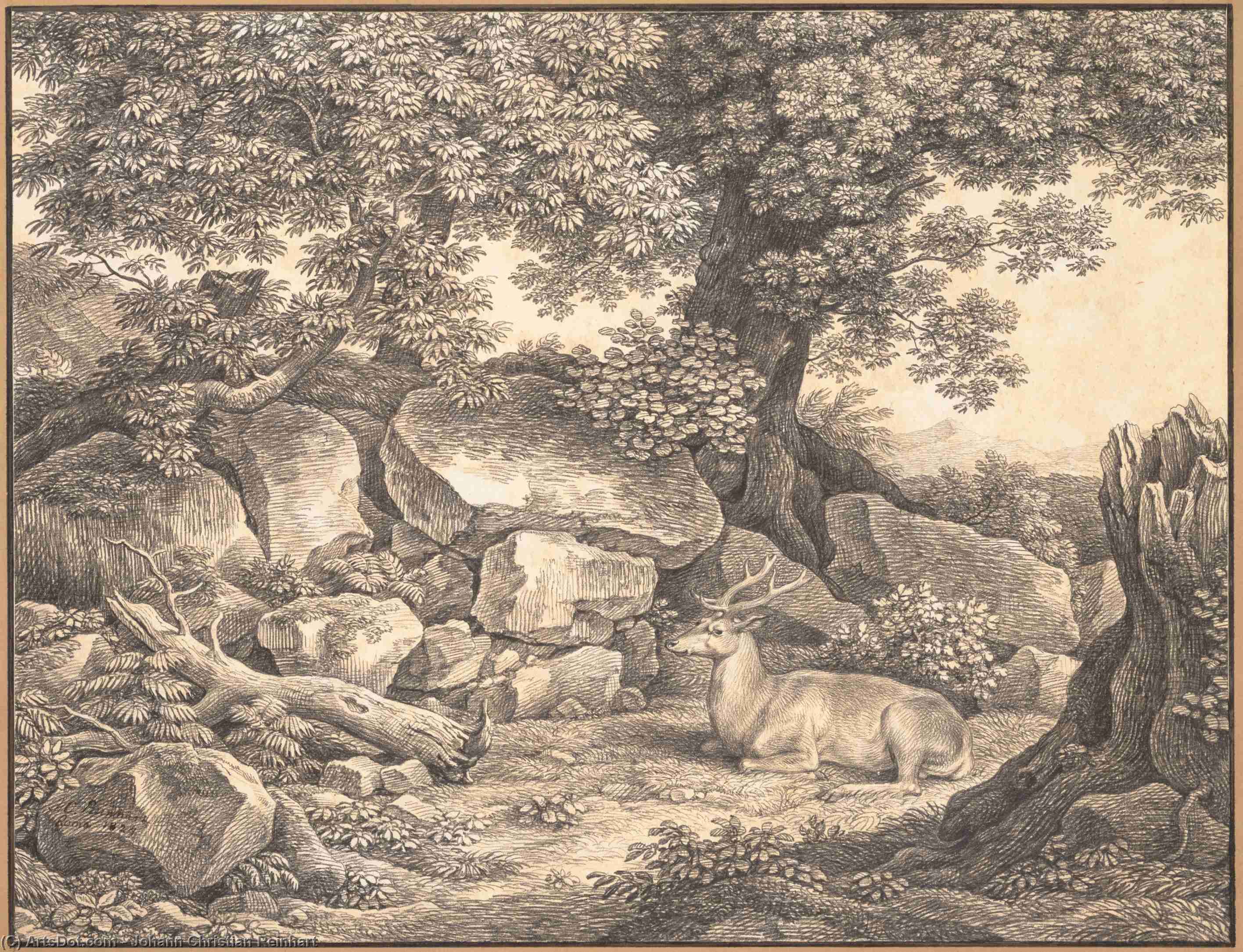 Wikioo.org - The Encyclopedia of Fine Arts - Painting, Artwork by Johann Christian Reinhart - Rocky landscape