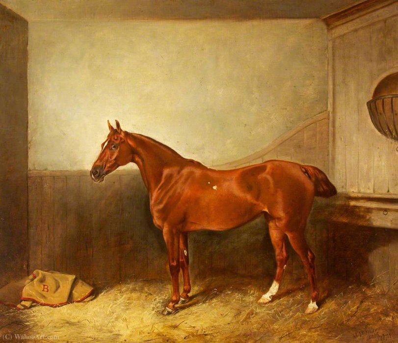 Wikioo.org - The Encyclopedia of Fine Arts - Painting, Artwork by John Alfred Wheeler - A Chestnut Hunter with a White Blaze in His Stable