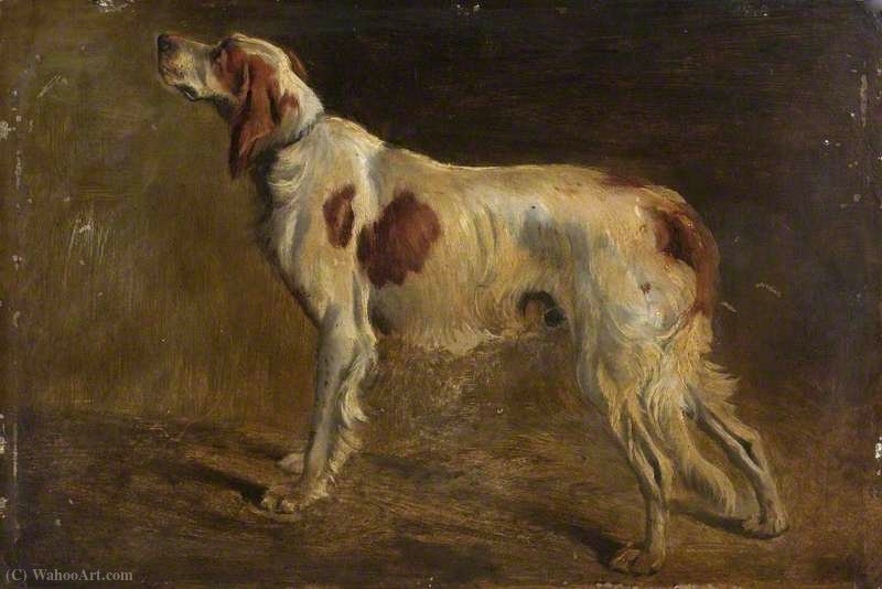 Wikioo.org - The Encyclopedia of Fine Arts - Painting, Artwork by John Alfred Wheeler - A setter