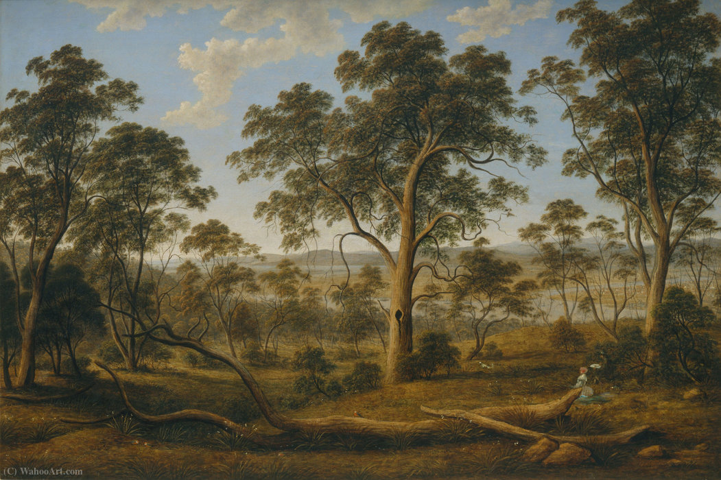 Wikioo.org - The Encyclopedia of Fine Arts - Painting, Artwork by John Glover - Launceston and the river Tamar
