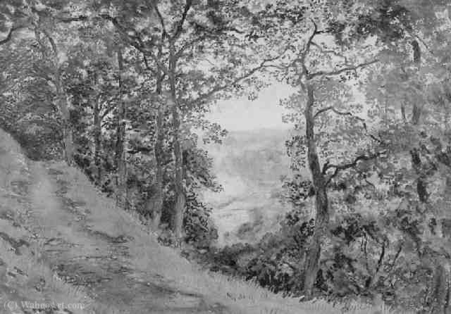 Wikioo.org - สารานุกรมวิจิตรศิลป์ - จิตรกรรม Joseph Arthur Palliser Severn - A hillside path near Brantwood