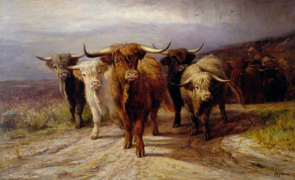 Wikioo.org - สารานุกรมวิจิตรศิลป์ - จิตรกรรม Joseph Denovan Adam - Cattle