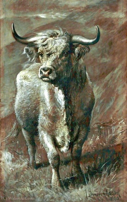 WikiOO.org - 百科事典 - 絵画、アートワーク Joseph Denovan Adam - ハイランド牛
