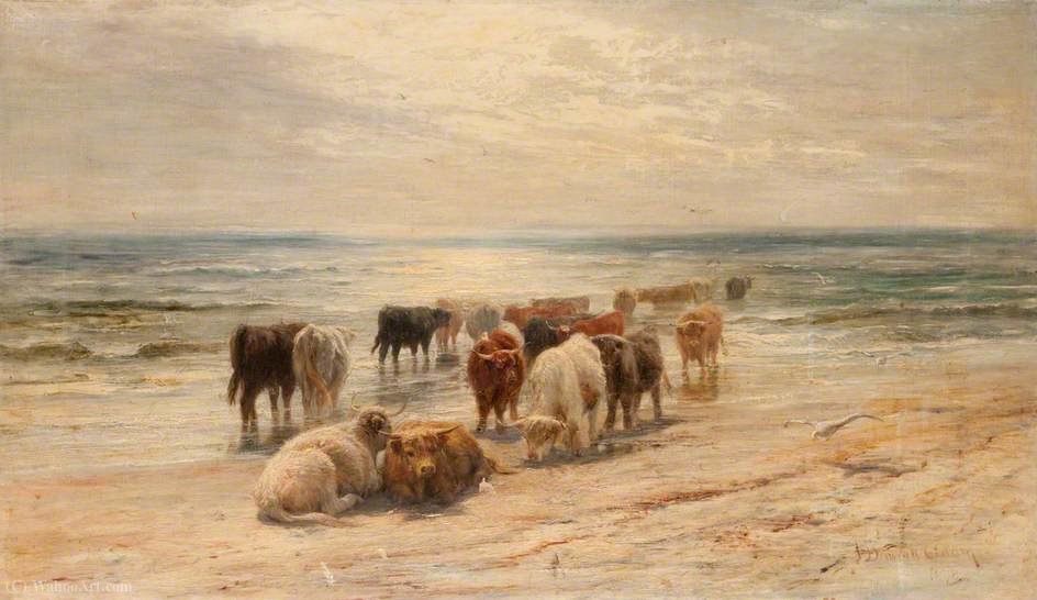 Wikoo.org - موسوعة الفنون الجميلة - اللوحة، العمل الفني Joseph Denovan Adam - Highland cattle