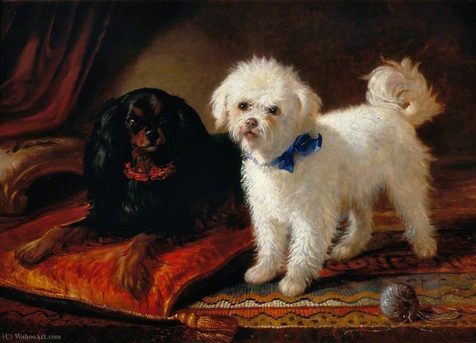 Wikioo.org - The Encyclopedia of Fine Arts - Painting, Artwork by Joseph Denovan Adam - Two dogs