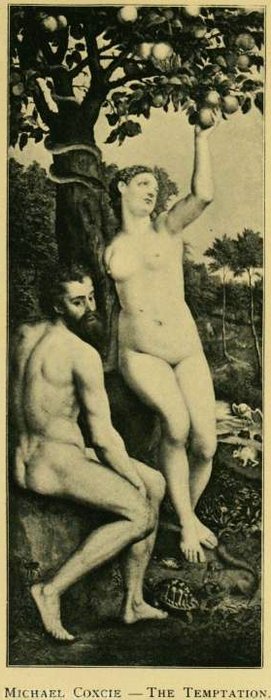 WikiOO.org - Encyclopedia of Fine Arts - Maleri, Artwork Michiel Van Coxcie - Adam and Eve