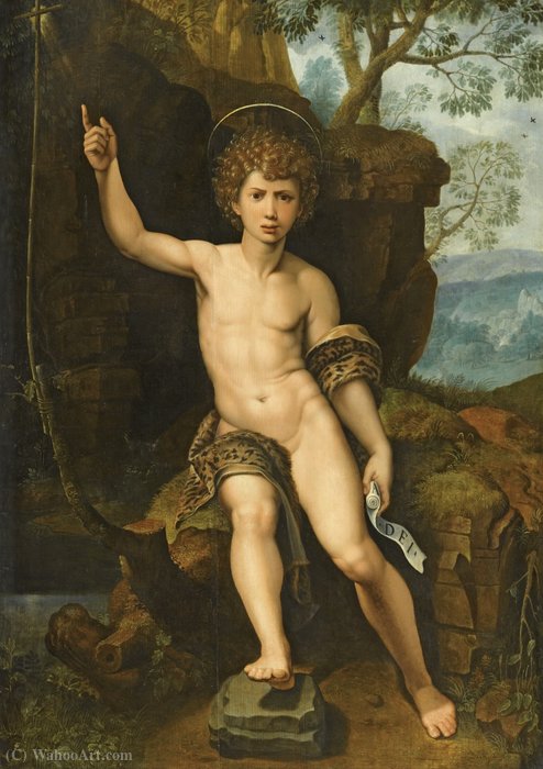 Wikioo.org - The Encyclopedia of Fine Arts - Painting, Artwork by Michiel Van Coxcie - Saint John the Baptist in a rocky landscape