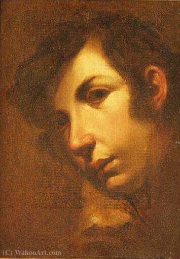 Wikioo.org - The Encyclopedia of Fine Arts - Painting, Artwork by Orazio Riminaldi - Head of a Boy