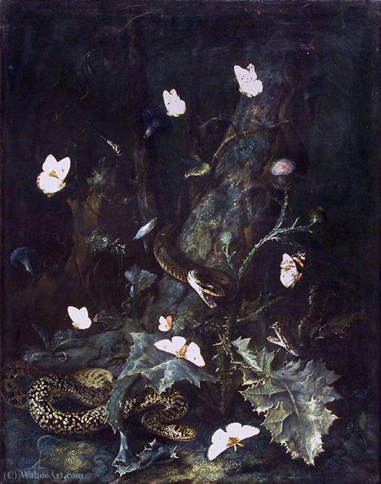 Wikioo.org – L'Encyclopédie des Beaux Arts - Peinture, Oeuvre de Otto Marseus Van Schrieck - A Forest Floor avec des serpents et papillons