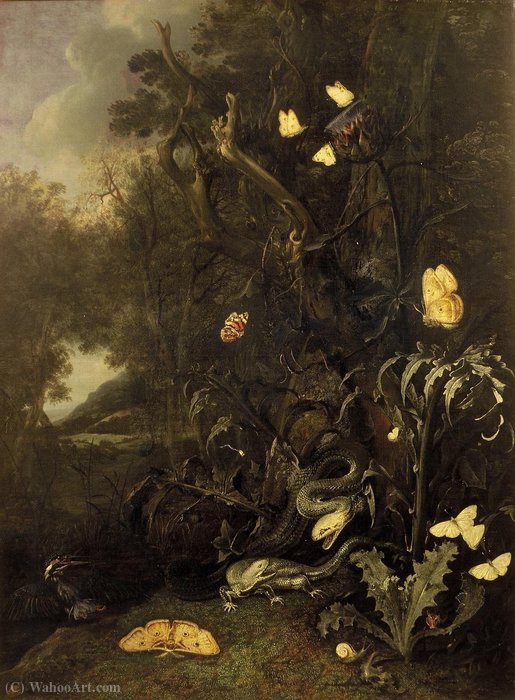 WikiOO.org - Encyclopedia of Fine Arts - Maleri, Artwork Otto Marseus Van Schrieck - Plants and Insects