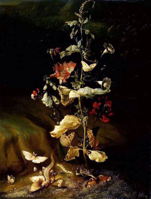 Wikioo.org - The Encyclopedia of Fine Arts - Painting, Artwork by Otto Marseus Van Schrieck - Still Life with Flowers