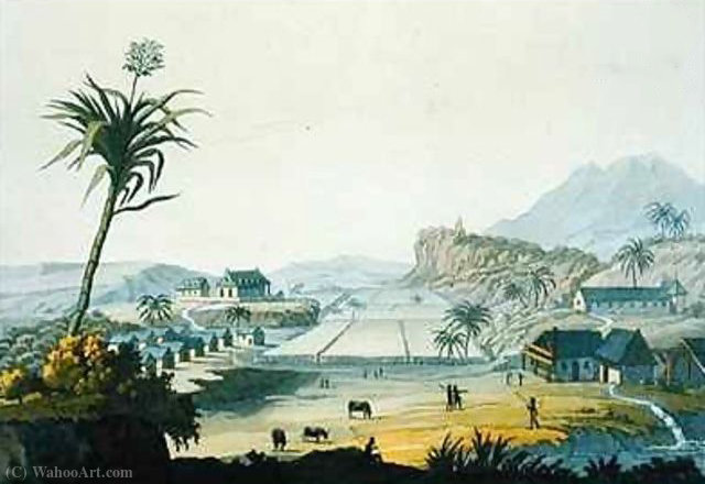 Wikioo.org – L'Encyclopédie des Beaux Arts - Peinture, Oeuvre de Paolo Fumagalli - Antilles sucre de plantation