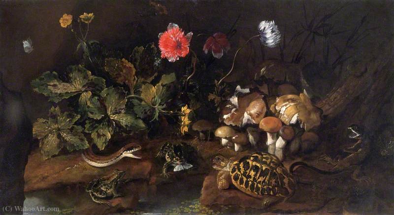 Wikioo.org - The Encyclopedia of Fine Arts - Painting, Artwork by Paolo Porpora - Still Life with a Snake, Frogs and a Tortoise