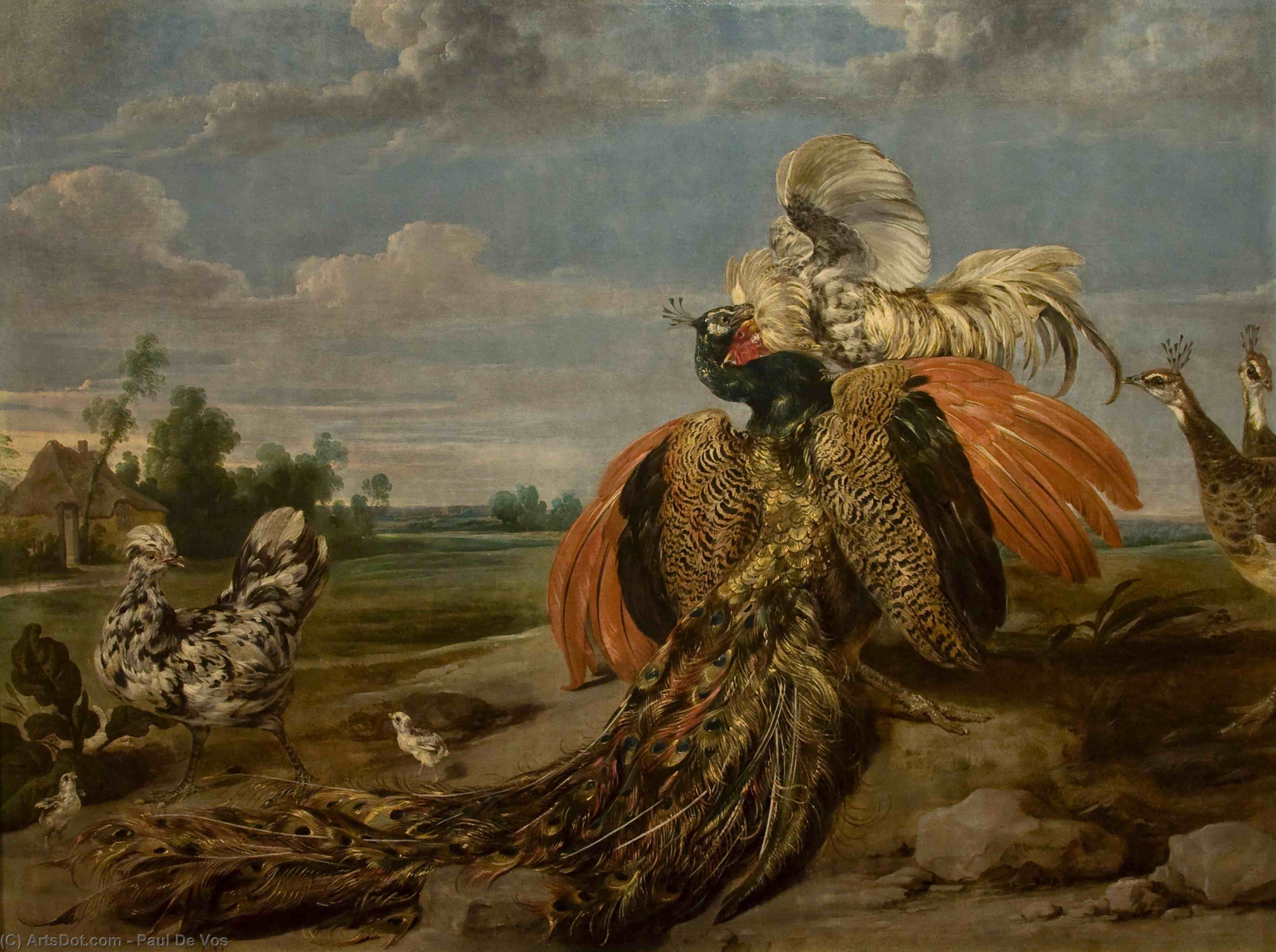 Wikioo.org - The Encyclopedia of Fine Arts - Painting, Artwork by Paul De Vos - Peacock and Cock Fighting