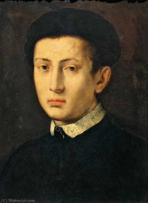 Wikioo.org - The Encyclopedia of Fine Arts - Painting, Artwork by Pierfrancesco Di Jacopo Foschi - Portrait of a young Man