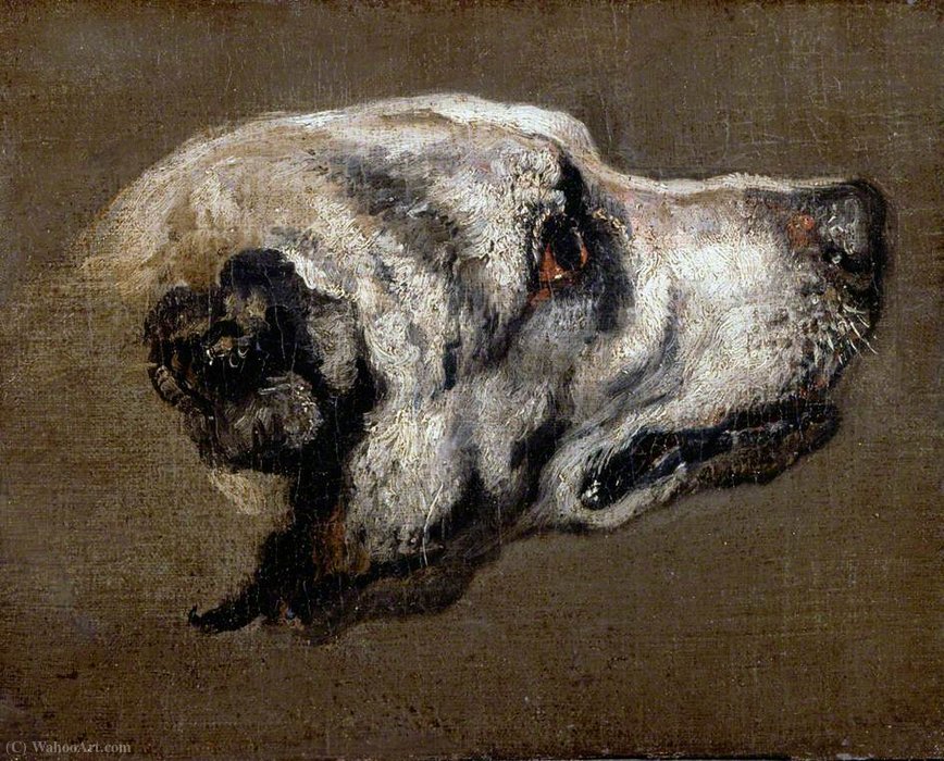 Wikioo.org – La Enciclopedia de las Bellas Artes - Pintura, Obras de arte de Boel Pieter (Boule) - Cabeza de un perro