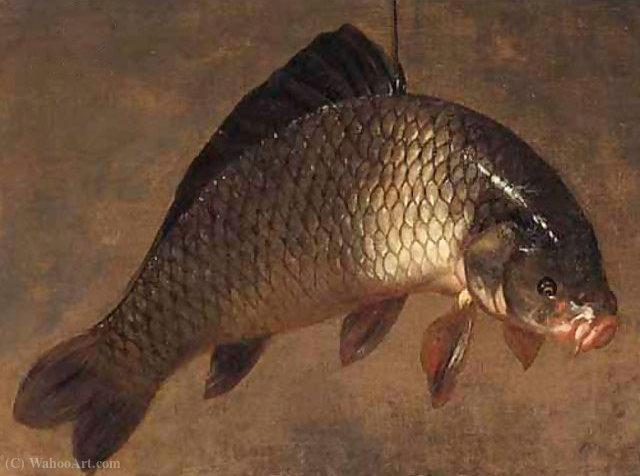 Wikioo.org - The Encyclopedia of Fine Arts - Painting, Artwork by Pieter De Putter - A still life with a carp hanging from a piece of string