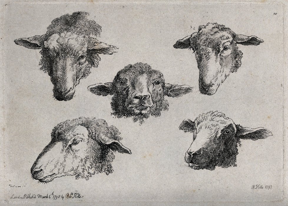 WikiOO.org - Encyclopedia of Fine Arts - Maalaus, taideteos Robert Hills - A sheeps's head