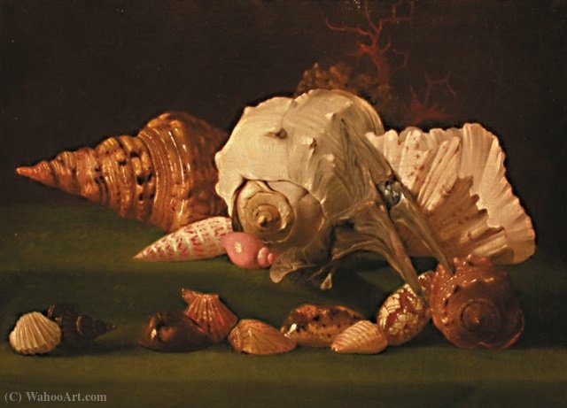 WikiOO.org - Encyclopedia of Fine Arts - Maľba, Artwork Simon Renard De Saint André - Still Life with Shells