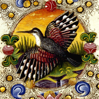 Wikioo.org – L'Enciclopedia delle Belle Arti - Pittura, Opere di Taddeo Crivelli - Illuminazione su pergamena Biblioteca Estense