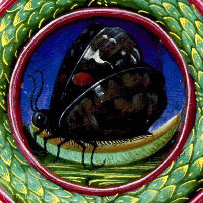 Wikioo.org – L'Enciclopedia delle Belle Arti - Pittura, Opere di Taddeo Crivelli - Illuminazione su pergamena Biblioteca Estense