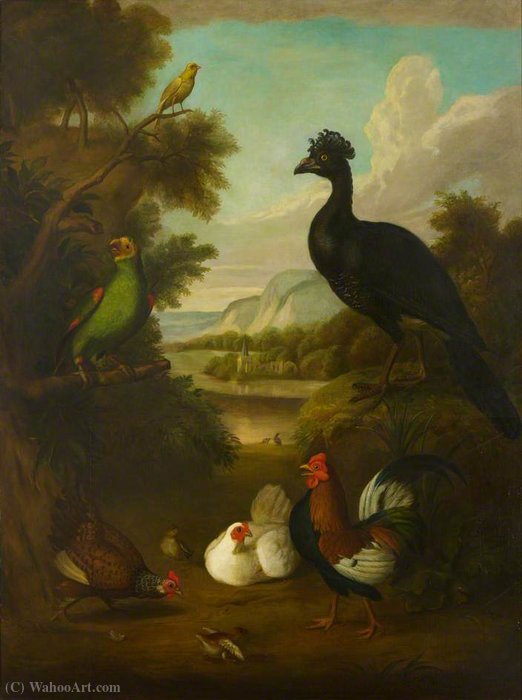 Wikioo.org - The Encyclopedia of Fine Arts - Painting, Artwork by Tobias Stranover - Canary, Green Parrot and Other Birds in a Landscape