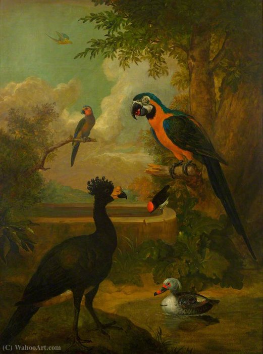 Wikioo.org - The Encyclopedia of Fine Arts - Painting, Artwork by Tobias Stranover - Macaw and Other Birds in a Landscape