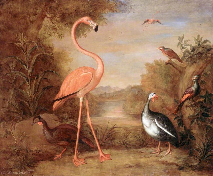 Wikioo.org - The Encyclopedia of Fine Arts - Painting, Artwork by Tobias Stranover - Various Types of Birds (with a Flamingo)