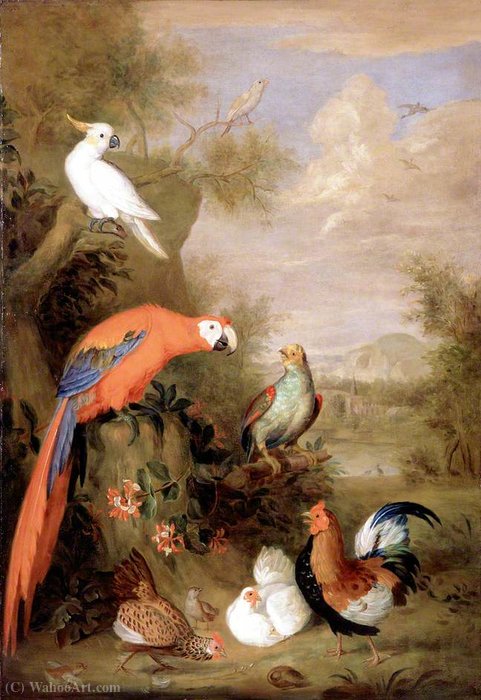 Wikioo.org – La Enciclopedia de las Bellas Artes - Pintura, Obras de arte de Tobias Stranover - Varios tipos de aves (con un loro)