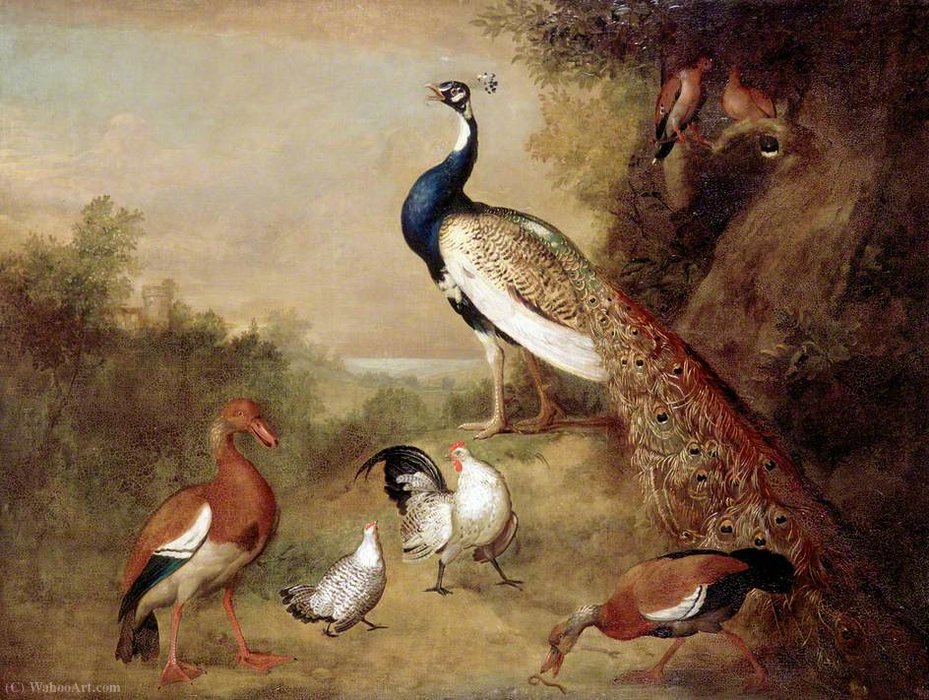 Wikoo.org - موسوعة الفنون الجميلة - اللوحة، العمل الفني Tobias Stranover - Various Types of Birds (with a Peacock)