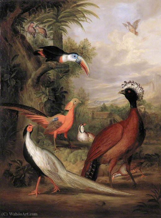 Wikioo.org – L'Encyclopédie des Beaux Arts - Peinture, Oeuvre de Tobias Stranover - Différents types d oiseaux (avec un toucan et un faisan)