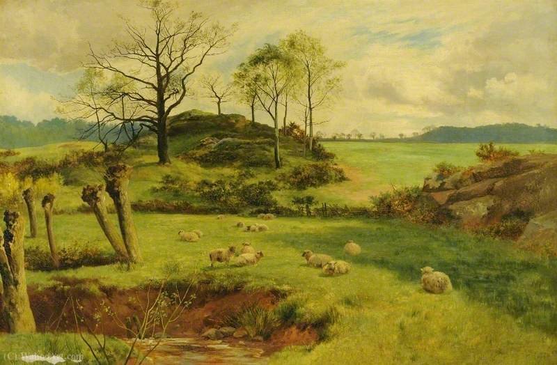 Wikioo.org - The Encyclopedia of Fine Arts - Painting, Artwork by Walker Stuart Lloyd - Sheep in Pasture
