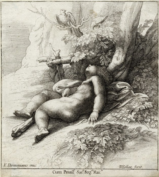 Wikoo.org - موسوعة الفنون الجميلة - اللوحة، العمل الفني Wenceslaus Hollar - Infant Hercules asleep