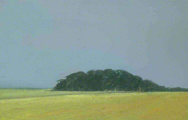 Wikioo.org - The Encyclopedia of Fine Arts - Painting, Artwork by Colin Self - Large Harvest Field and Woods near Happisburgh, Norfolk