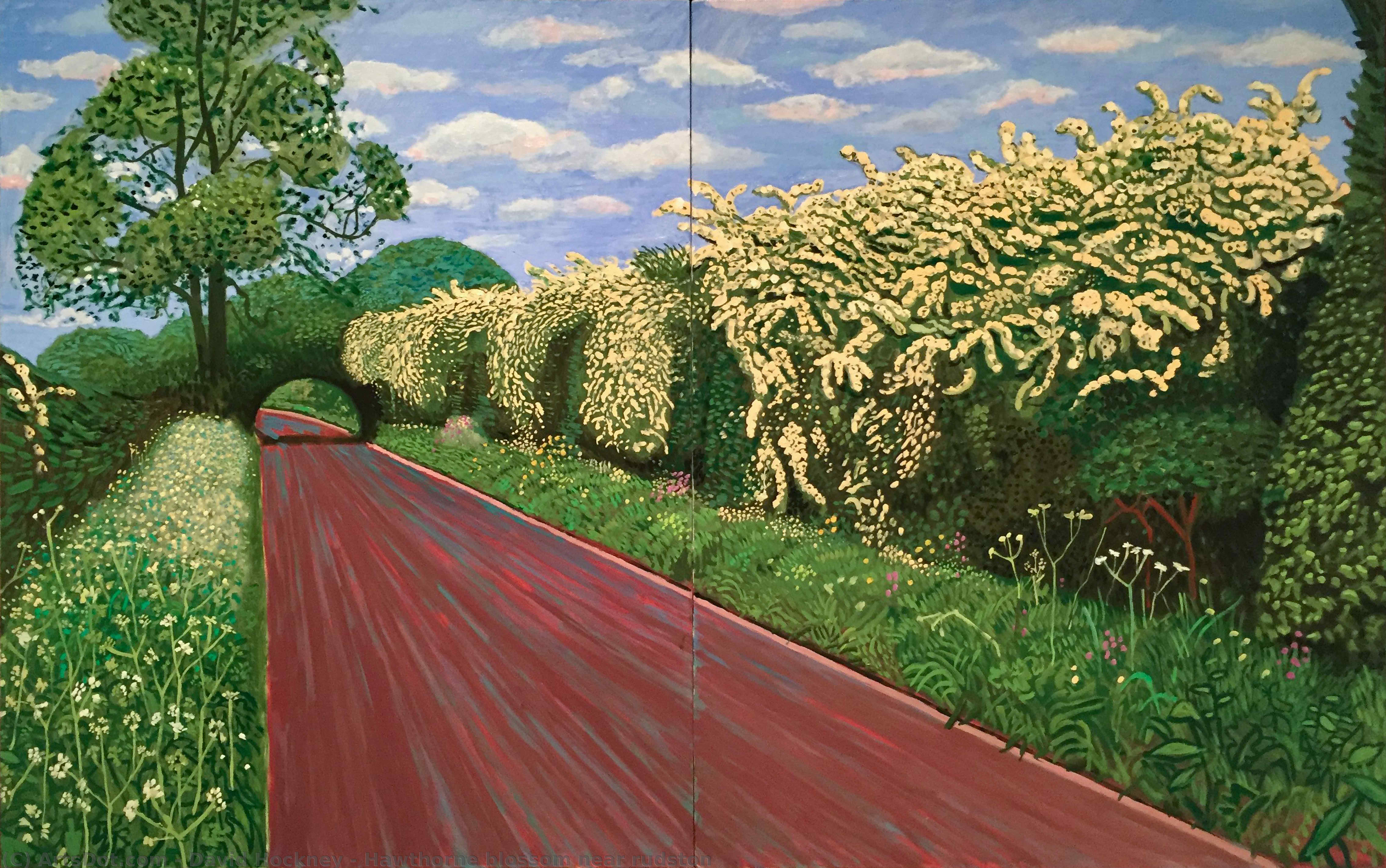 WikiOO.org - Güzel Sanatlar Ansiklopedisi - Resim, Resimler David Hockney - Hawthorne blossom near rudston