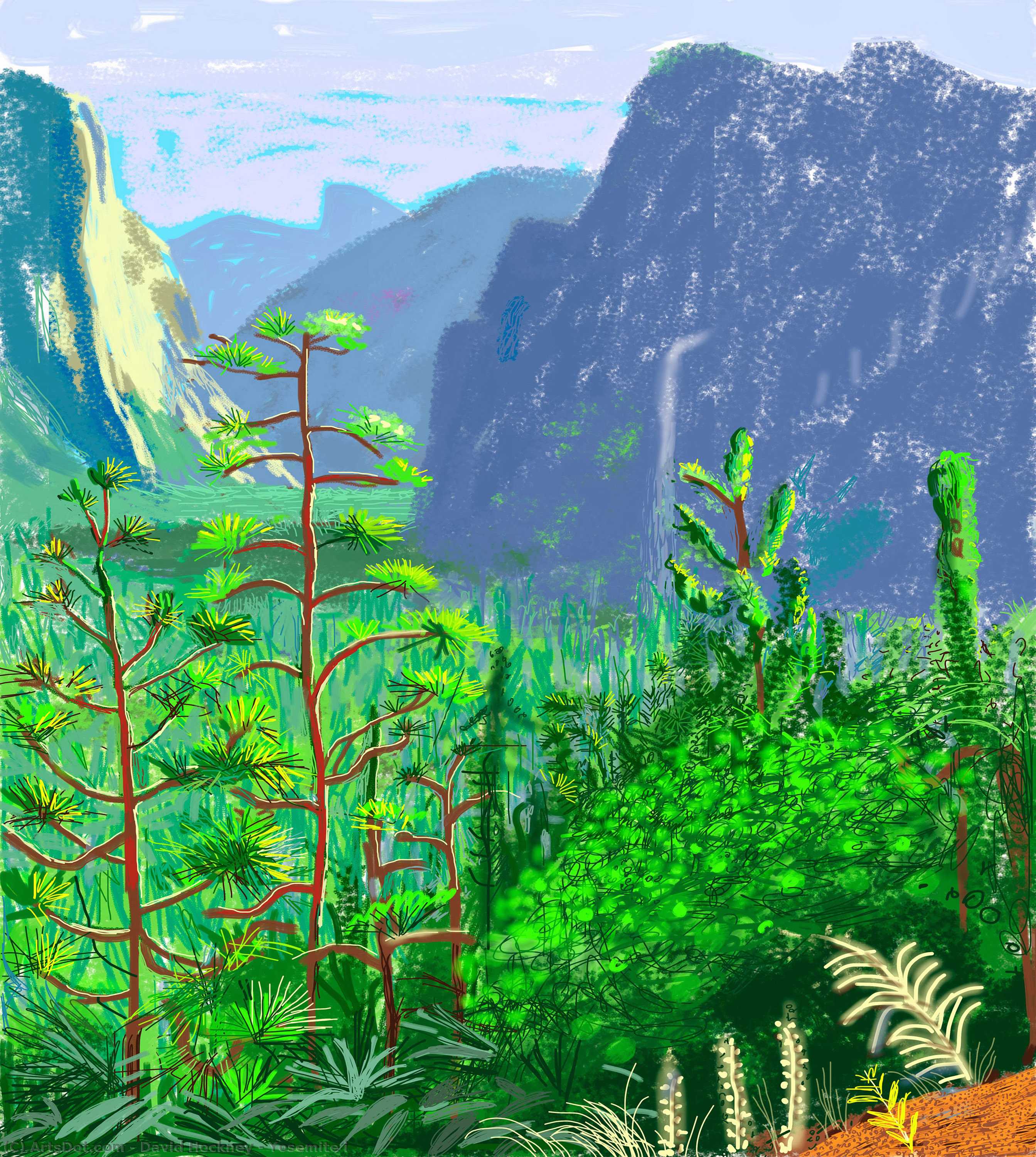 Wikioo.org - The Encyclopedia of Fine Arts - Painting, Artwork by David Hockney - Yosemite i