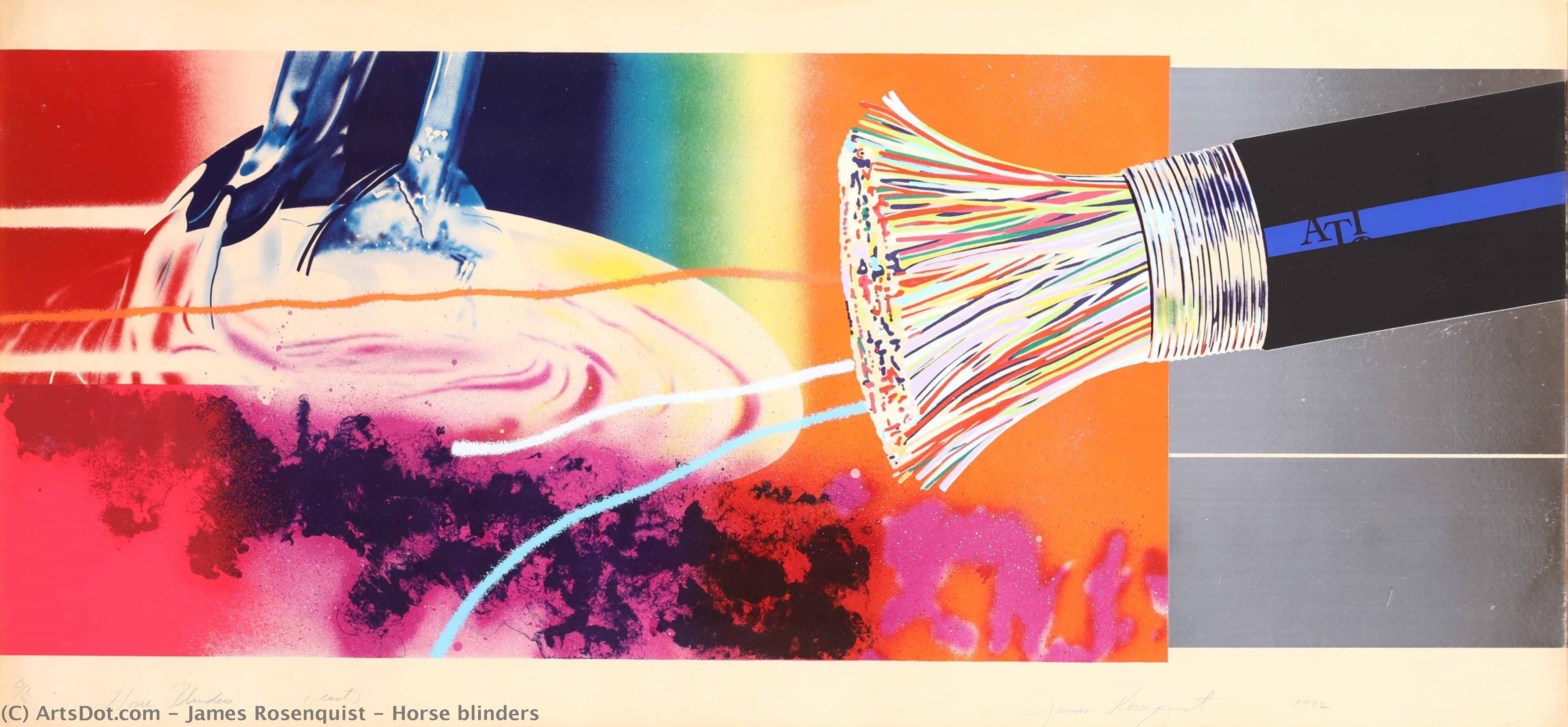 Wikioo.org - The Encyclopedia of Fine Arts - Painting, Artwork by James Rosenquist - Horse blinders