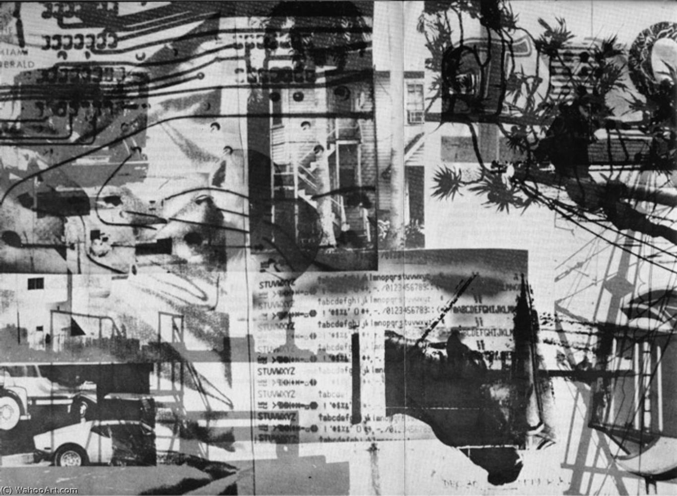 Wikioo.org - The Encyclopedia of Fine Arts - Painting, Artwork by Robert Rauschenberg - Piece for tropic