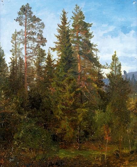 Wikioo.org - The Encyclopedia of Fine Arts - Painting, Artwork by Anders Monsen Askevold - Skogsstudie fra Eide