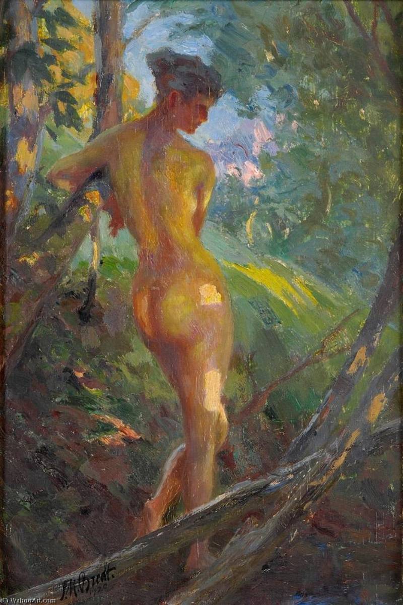 Wikioo.org - The Encyclopedia of Fine Arts - Painting, Artwork by Ferdinand Max Bredt - Last rays of sun